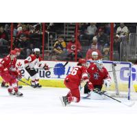 Allen Americans goaltender Antoine Bibeau vs. the Cincinnati Cyclones