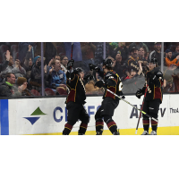 Cleveland Monsters celebrate after a goal against the Lehigh Valley Phantoms