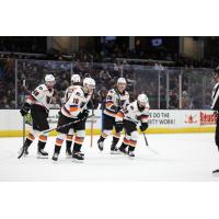 Lehigh Valley Phantoms in action