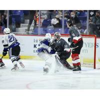 Vancouver Giants left goaltender Jesper Vikman vs. the Victoria Royals