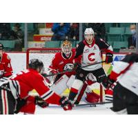 Prince George Cougars in front of the Portland Winterhawks net