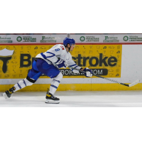 Wichita Thunder defenseman Alex Peters