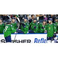 Jacksonville Icemen in Lizard Kings jerseys