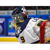 Erie Otters goaltender Nolan Lalonde