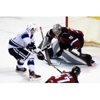 Vancouver Giants goaltender Jesper Vikman vs. the Victoria Royals