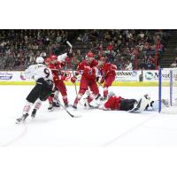 Allen Americans goaltender Antoine Bibeau pounces on a puck