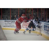 Rapid City Rush defenseman Quinn Wichers (left)