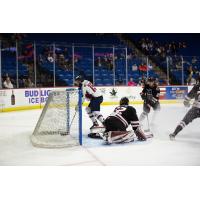 Rapid City Rush goaltender Josef Korenar