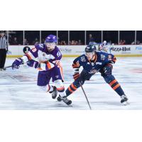 Orlando Solar Bears forward Maxim Cajkovic (left) vs. the Greenville Swamp Rabbits