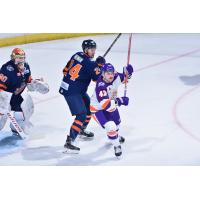Greenville Swamp Rabbits take on the Orlando Solar Bears