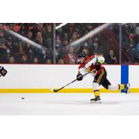 New Mexico Ice Wolves defenseman Gustav Blom