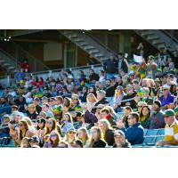 NOLA Gold fans cheer on the team