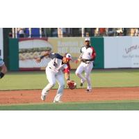 York Revolution infielder Josue Herrera