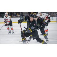 Iowa Heartlanders forward Kris Bennett