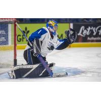 Saint John Sea Dogs goaltender Thomas Couture