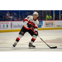 Belleville Senators defenceman Michael Del Zotto