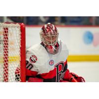 Belleville Senators goaltender Filip Gustavsson