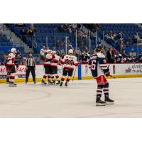 Belleville Senators celebrate a goal against the Hartford Wolf Pack