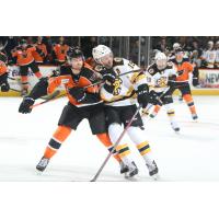 Lehigh Valley Phantoms defenseman Cam York (left) vs. the Providence Bruins