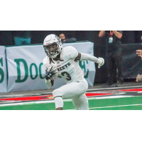 Wide receiver Rob Jones with the New York Streets