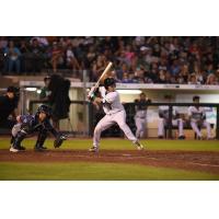 Dayton Dragons catcher Eric Yang