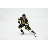 Owen MacDonald of the Sarnia Sting