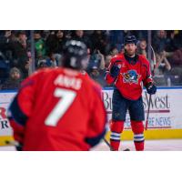 Springfield Thunderirds in action against the Hershey Bears