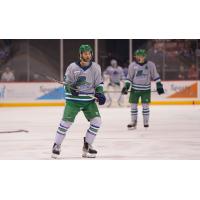 Forward Ethan Szypula with the Florida Everblades