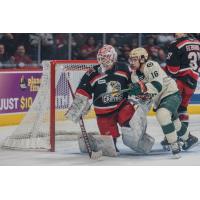 Grand Rapids Griffins goaltender Victor Brattstrom vs. the Iowa Wild