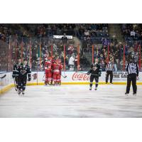 Rapid City Rush gather after a goal against the Utah Grizzlies
