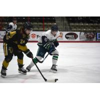 North Iowa Bulls defenseman Jack Mesic (right) battles Bismarck's Drew Holt