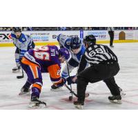 Jacksonville Icemen face off with the Orlando Solar Bears