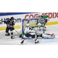 Worcester Railers forward Anthony Repaci scores against the Maine Mariners