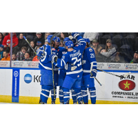 Wichita Thunder celebrates a goal against the Kansas City Mavericks
