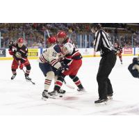 Grand Rapids Griffins battle the Milwaukee Admirals