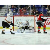 Kelowna Rockets vs. the Vancouver Giants