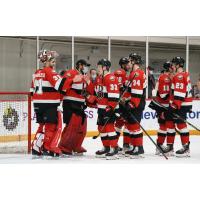 Belleville Senators exchange congratulations