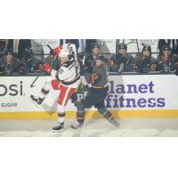 Grand Rapids Griffins left wing Dennis Yan (left) vs. the Chicago Wolves