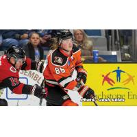 Drake Rymsha of the Fort Wayne Komets