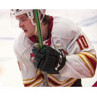 Vancouver Giants forward Zack Ostapchuk
