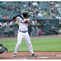 Carlos Castro at bat for the York Revolution
