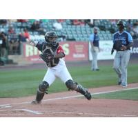 York Revolution catcher Lenin Rodriguez