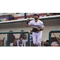 Outfielder Zach Racusin with the Lake Erie Crushers