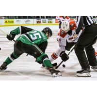Texas Stars center Ty Dellandrea faces off with the Charlotte Checkers