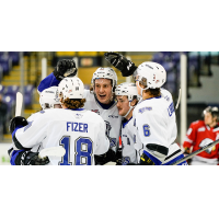 Victoria Royals gather after a goal against the Portland Winterhawks