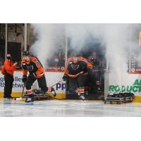 Lehigh Valley Phantoms enter the ice during a recent game