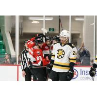 Belleville Senators celebrate a goal against the Providence Bruins