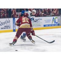 Saint John Sea Dogs battle the Acadie-Bathurst Titan
