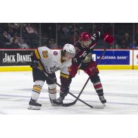 Grand Rapids Griffins right wing Jon Martin (right) faces off with the Chicago Wolves