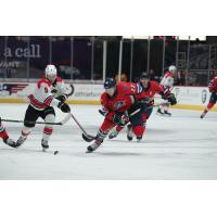 Springfield Thunderbirds defenseman Josh Wesley (right) vs. the Charlotte Checkers